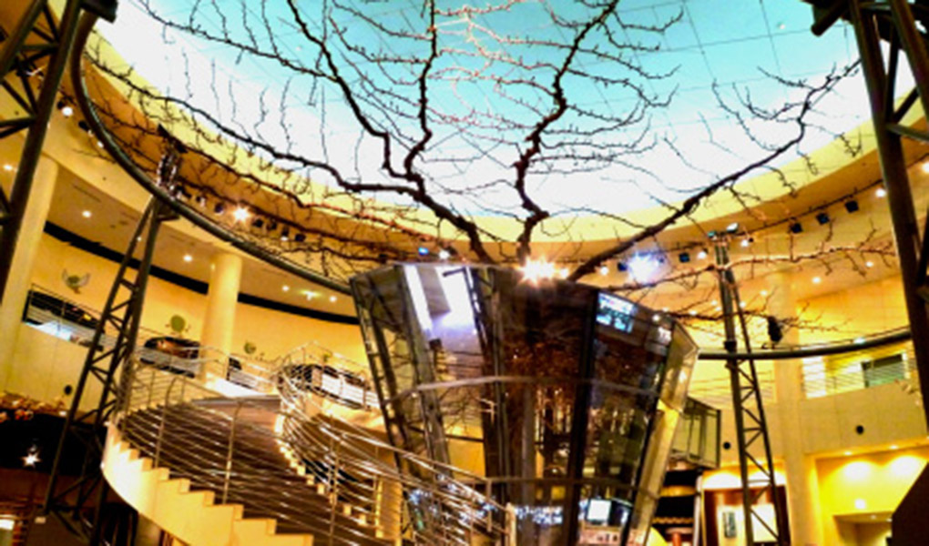 エースパック なしっこ館