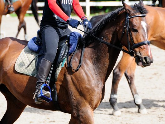 グリーンシーズン